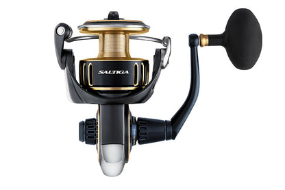 Daiwa Saltiga 2025